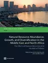 Natural Resource Abundance, Growth, and Diversification in the Middle East and North Africa cover