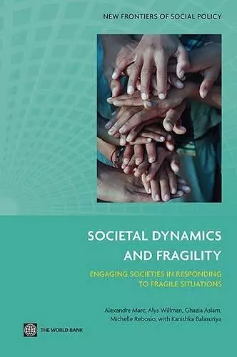 Societal Dynamics and Fragility cover