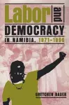 Labor and Democracy in Namibia, 1971–1996 cover