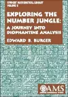 Exploring the Number Jungle cover