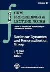 Nonlinear Dynamics and Renormalization Group cover