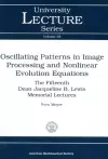 Oscillating Patterns in Image Processing and Nonlinear Evolution Equations cover