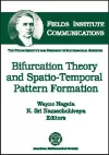 Bifurcation Theory and Spatio-temporal Pattern Formation cover