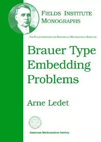 Brauer Type Embedding Problems cover