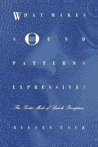 What Makes Sound Patterns Expressive? cover