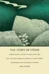 The Story of Stone cover