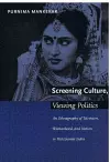 Screening Culture, Viewing Politics cover