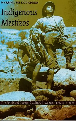 Indigenous Mestizos cover