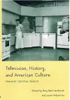 Television, History, and American Culture cover