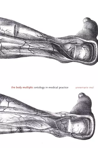 The Body Multiple cover