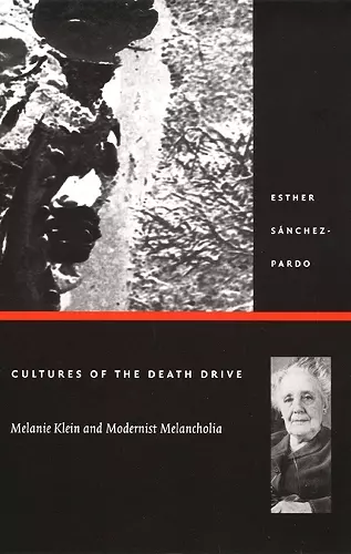 Cultures of the Death Drive cover