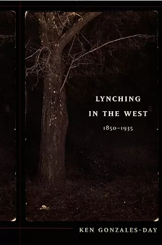 Lynching in the West cover