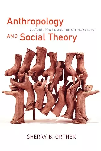 Anthropology and Social Theory cover
