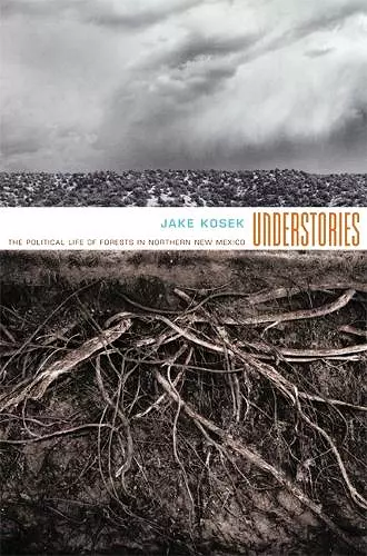 Understories cover