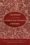 Constitutional Theory cover