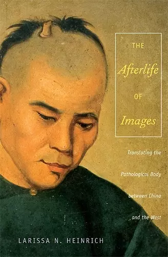 The Afterlife of Images cover