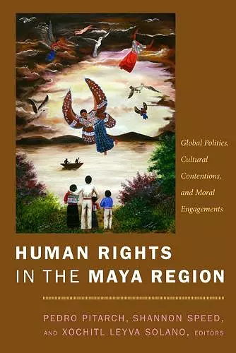 Human Rights in the Maya Region cover