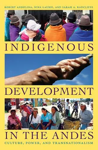 Indigenous Development in the Andes cover