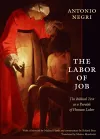 The Labor of Job cover