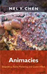 Animacies cover