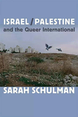 Israel/Palestine and the Queer International cover