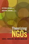 Theorizing NGOs cover