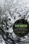 Bad Water cover