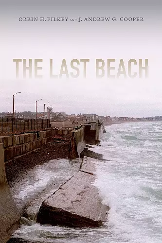 The Last Beach cover