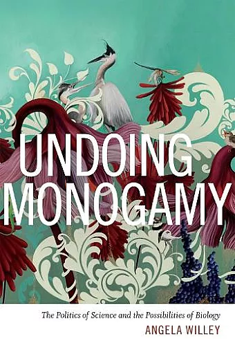 Undoing Monogamy cover