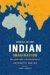 Africa in the Indian Imagination cover
