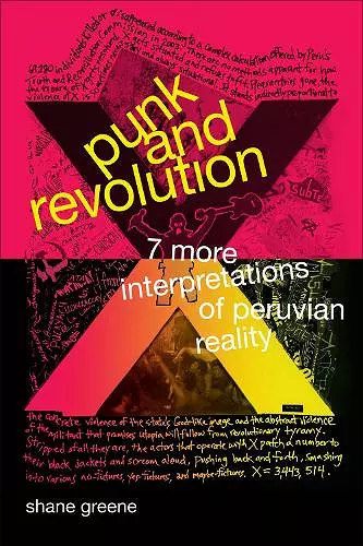 Punk and Revolution cover