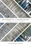 Epigenetic Landscapes cover