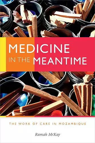 Medicine in the Meantime cover