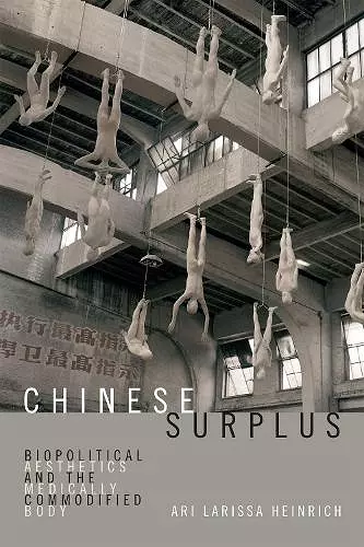 Chinese Surplus cover