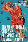 Transnational Chicanx Perspectives on Ana Castillo cover