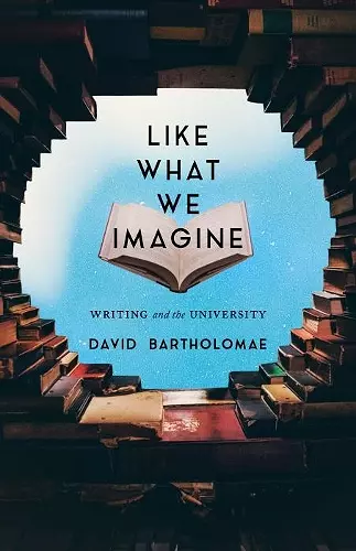 Like What We Imagine cover