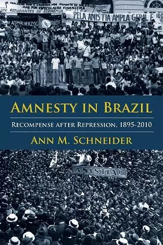 Amnesty in Brazil cover