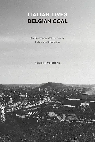 Italian Lives, Belgian Coal cover