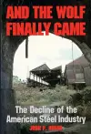 And the Wolf Finally Came cover