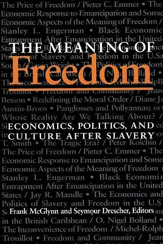 The Meaning Of Freedom cover