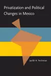 Privatization and Political Change in Mexico cover