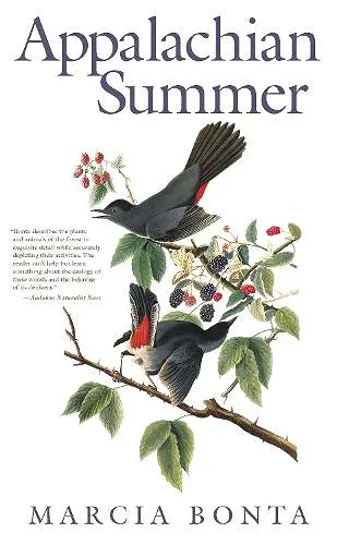 Appalachian Summer cover