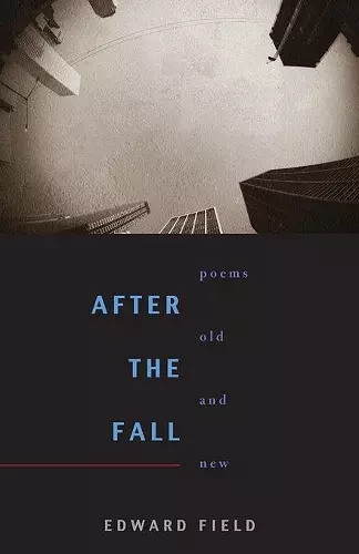 After the Fall cover