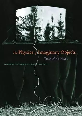 The Physics of Imaginary Objects cover