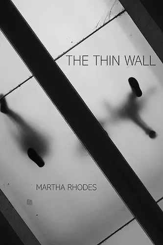 Thin Wall, The cover