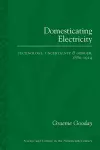 Domesticating Electricity cover