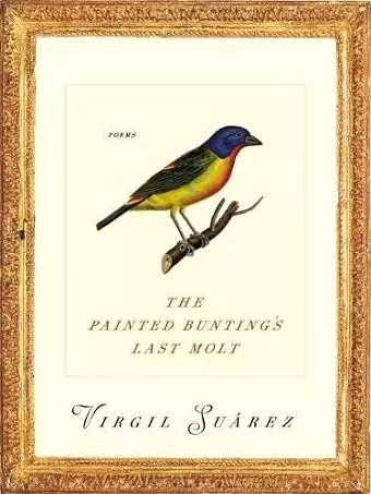 The Painted Bunting's Last Molt cover