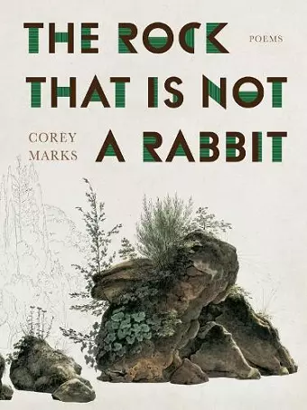 The Rock That is Not a Rabbit cover
