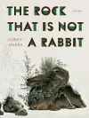 The Rock That is Not a Rabbit cover