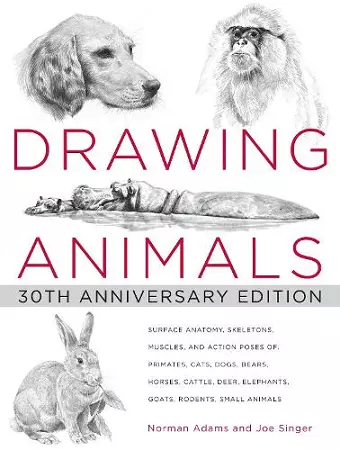 Drawing Animals cover